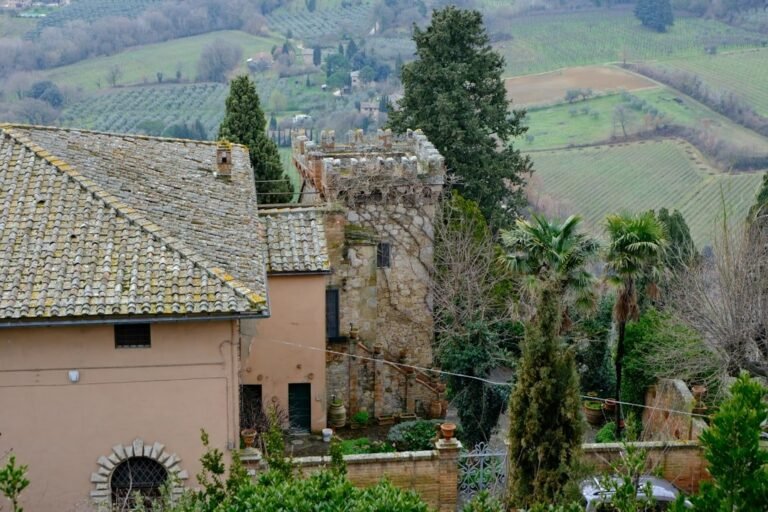 portale BDSR CIN host