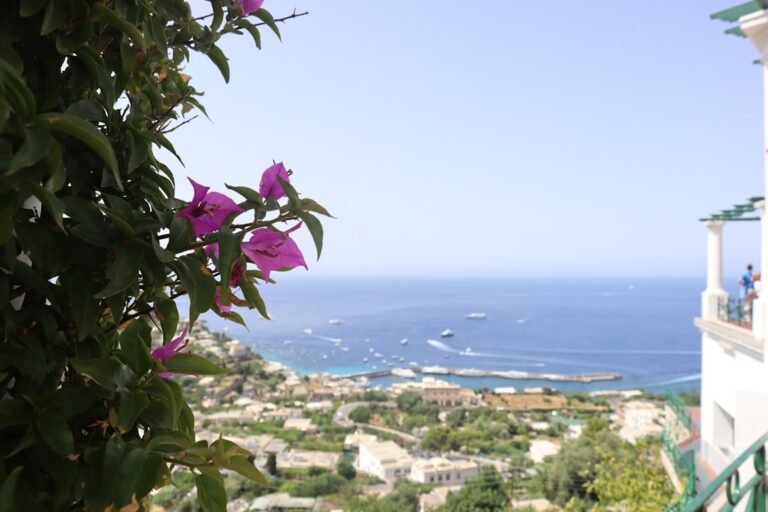 a view of a body of water from a balcony